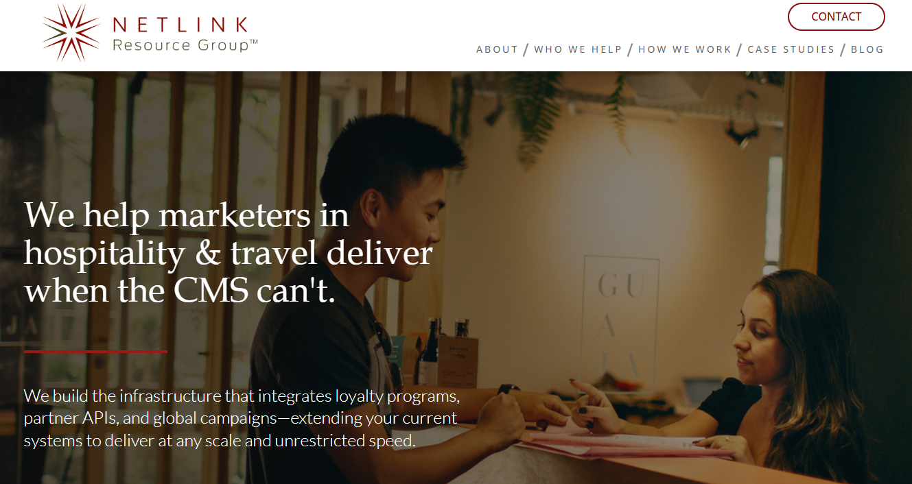 Netlink Resource Group | API Integration & Custom Web Platforms for Enterprise Marketing Growth