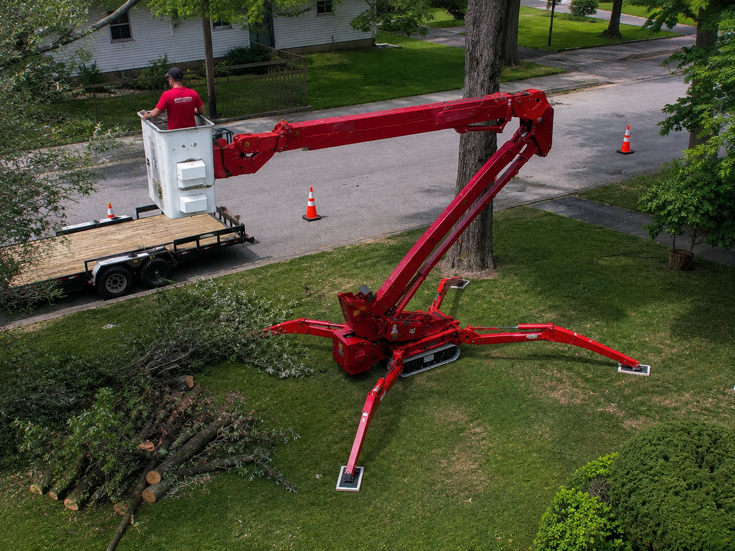 Professional Tree Service in Rochester, NY