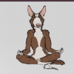 ZenDogTrainingNWA