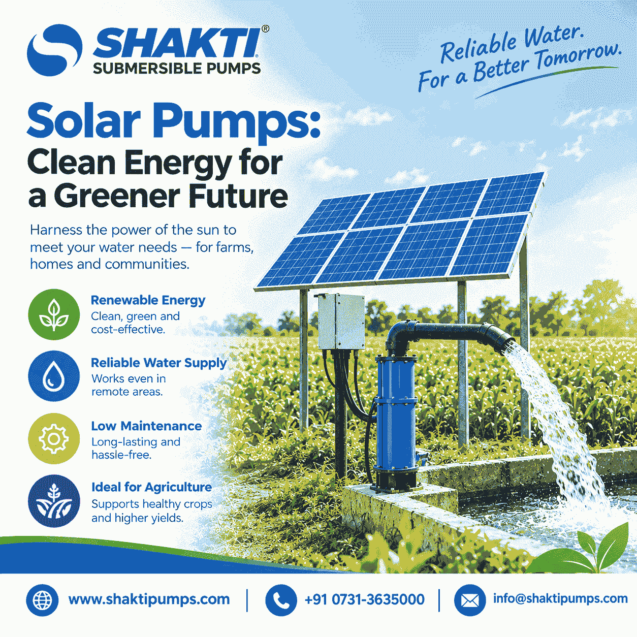 Solar Pumps : Reliable Water from Sunlight