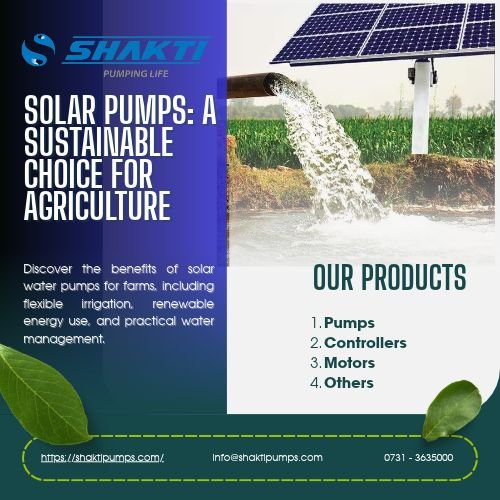 Solar Pumps Reliable Water from Sunlight