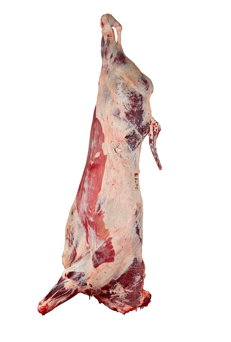 Halal Beef Lamb Chicken Goat Meat For Sale